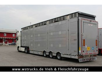 Veewagen oplegger Pezzaioli SBA31-SR 3 Stock Vermietung