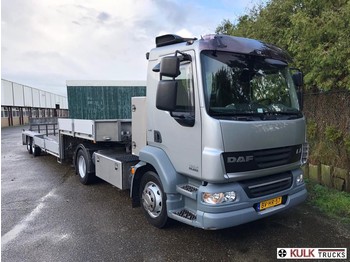 Trekker DAF LF 55 220 / 6 Cilinder / ONLY 194 TKM NEW CONDITION!: afbeelding 1