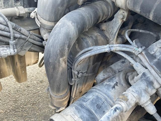 Trekker MAN TGX 18.500