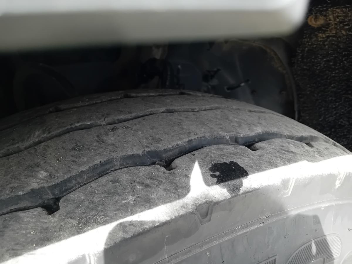 Trekker Scania R 420