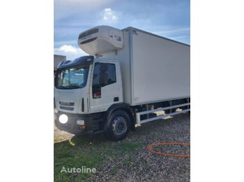 koelwagen vrachtwagen IVECO