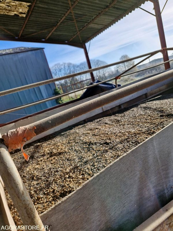 Vrachtwagen Benne ampliroll céréalière 9