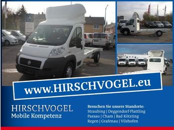 Fiat Ducato Fahrgestell - Chassis vrachtwagen