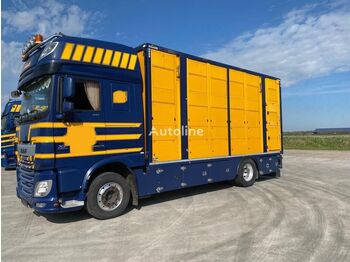 Veewagen vrachtwagen DAF 106XF510 Viehtransport Menke 3 stock: afbeelding 1