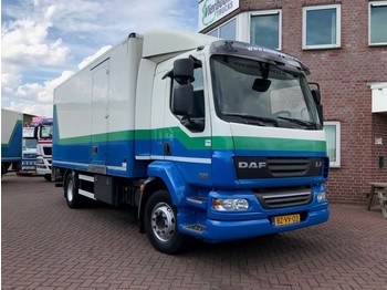 Bakwagen DAF LF 55-220 EURO 5 BOX WITH TAILLIFT: afbeelding 1
