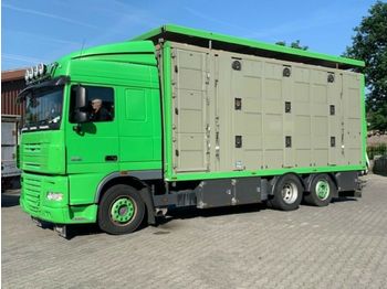 Veewagen vrachtwagen DAF  XF 105/460 SC Menke 3 Stock Hubdach: afbeelding 1