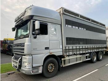 Schuifzeilen vrachtwagen DAF XF 105.510 6X4 MANUAL - HUB REDUCTION: afbeelding 1