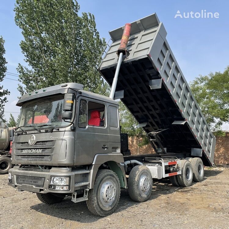 Kipper vrachtwagen F3000 8x4 drive tipper lorry truck dumper: afbeelding 3