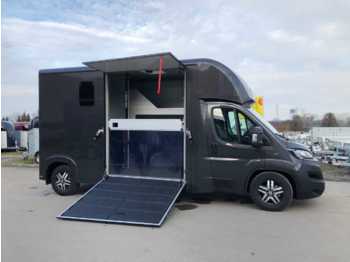 Nieuw Veewagen vrachtwagen Fiat Böckmann Compact L Stall LKW: afbeelding 1