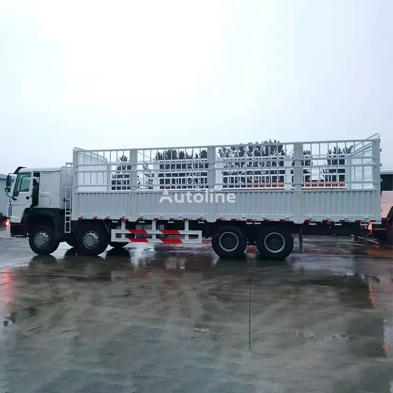 Vrachtwagen met open laadbak HOWO 8x4 drive general cargo truck: afbeelding 6