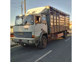 Veewagen vrachtwagen IVECO 175.24 Turbo left hand drive 19 ton Manual Cattle: afbeelding 1