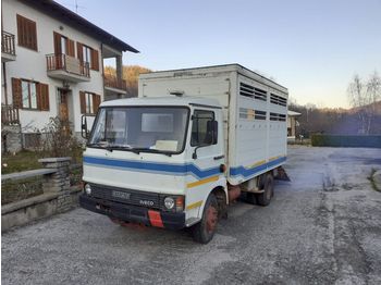 Veewagen vrachtwagen IVECO 79.14 Patente C: afbeelding 1