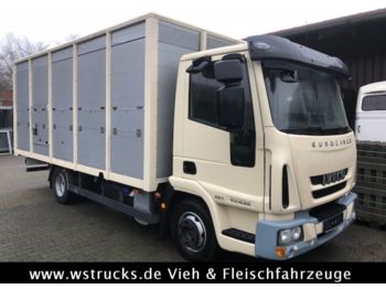 Veewagen vrachtwagen Iveco 100E22 mit Einstock  Baujahr 2013: afbeelding 1