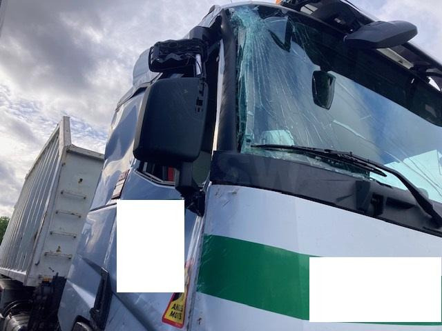 Kipper vrachtwagen Renault C-Series 460