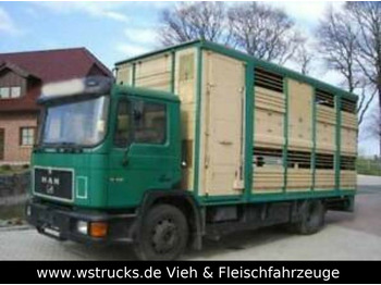 Veewagen vrachtwagen MAN 14232  KABA Doppelstock: afbeelding 1
