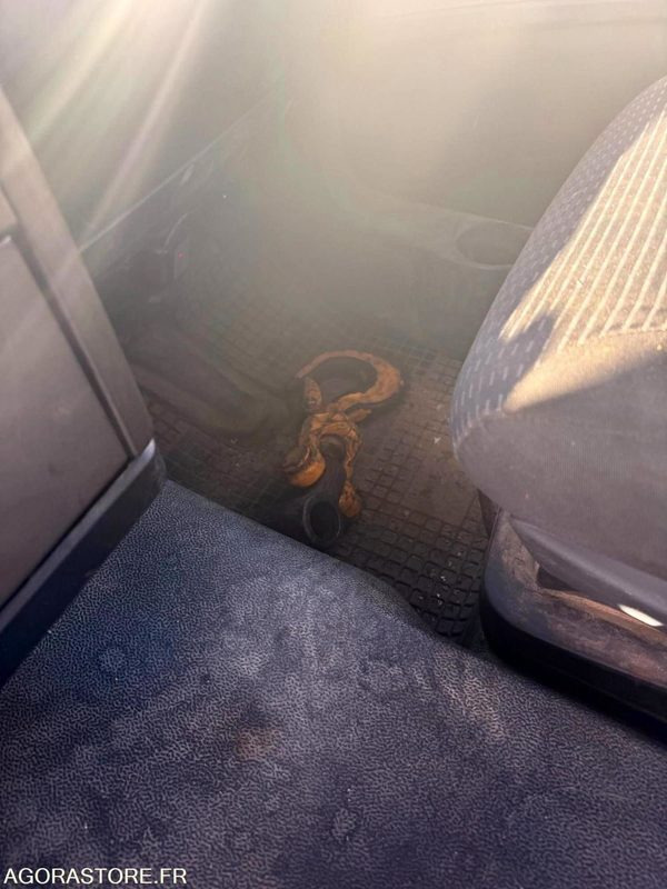 Vrachtwagen MAN 8x4 - 32-400 BiBenne grue - 11.2014 / 375000 KM