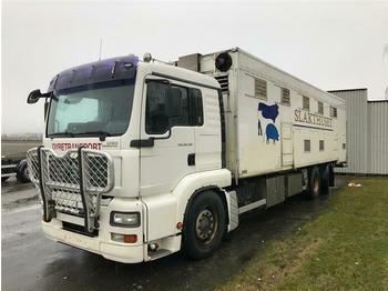 Veewagen vrachtwagen MAN TGA26.430 - SOON EXPECTED - 6X2 ANIMAL/TIER TRAN: afbeelding 1