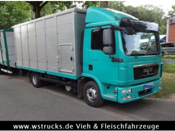Veewagen vrachtwagen voor het vervoer van dieren MAN TGL 12.250  Menke Einstock: afbeelding 1