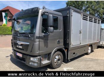 Veewagen vrachtwagen voor het vervoer van dieren MAN TGL 8.250 BL mit Finkl Einstock: afbeelding 1