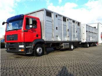 Veewagen vrachtwagen MAN TGM 15.280/ 2-Stock / Manual / Euro 4: afbeelding 1