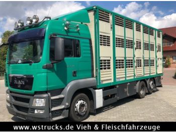 Veewagen vrachtwagen MAN TGX 26.440 LXL Menke   3 Stock Vollalu: afbeelding 1
