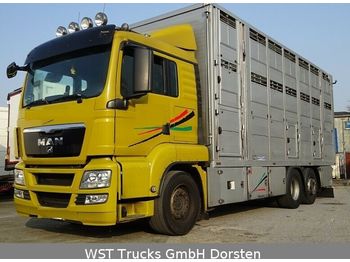 Veewagen vrachtwagen MAN TGX 26.440 LX Menke 3 Stock: afbeelding 1