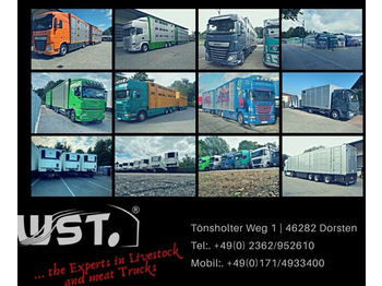 Veewagen vrachtwagen MAN TGX 26.480 XL Menke   3 Stock Vollalu Hubdach: afbeelding 1