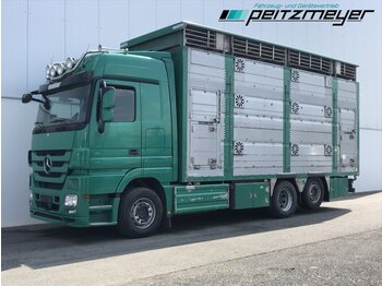 Veewagen vrachtwagen MERCEDES-BENZ Actros 2544 LL Pezziaoli 3 Stock: afbeelding 1