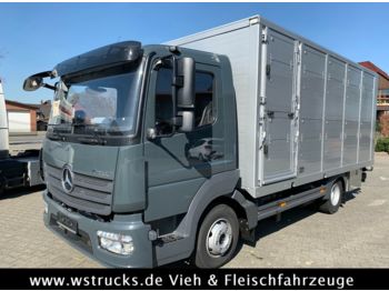 Veewagen vrachtwagen voor het vervoer van dieren Mercedes-Benz 821L" Neu" WST Edition" Menke Einstock Vollalu: afbeelding 1
