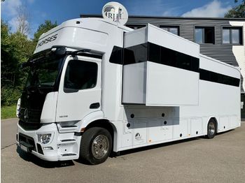 Nieuw Veewagen vrachtwagen Mercedes-Benz ACTROS 1835 Pferdetransporter RJH POP-OUT Exclus: afbeelding 1