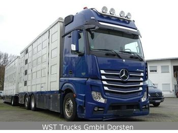 Veewagen vrachtwagen Mercedes-Benz Actros  2551 Menke 4 Stock Vollalu Hubach: afbeelding 1