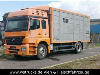 Veewagen vrachtwagen Mercedes-Benz Axor 1833 2 Stock Michieletto: afbeelding 1