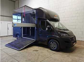 Fiat Böckmann Compact Stall LKW - paardenvrachtwagen