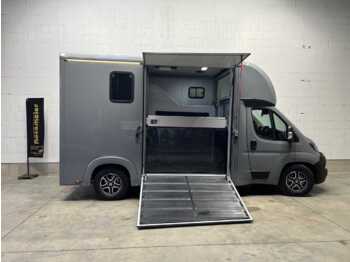 Fiat Böckmann Compact Stall LKW - paardenvrachtwagen