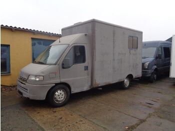 Peugeot Boxer Tiertransporter Pferdetransporter Klasse B  - paardenvrachtwagen