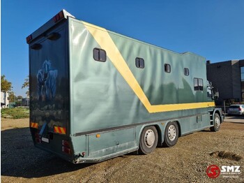 Paardenvrachtwagen Scania 113 paarden/mobilhome: afbeelding 4