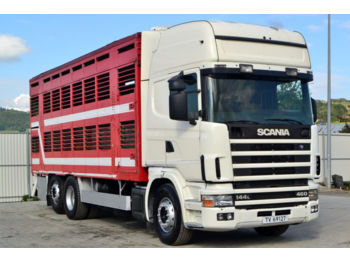 Veewagen vrachtwagen Scania 144 460 Tiertransportwagen 7,20 m Top Zustand: afbeelding 1