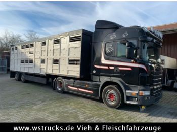 Veewagen vrachtwagen Scania R 480 Highl. mit Menke 2 Stock Auflieger: afbeelding 1