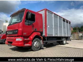 Veewagen vrachtwagen DAF LF 55 Einstock KABA