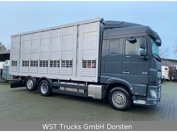 Veewagen vrachtwagen DAF XF 480 "Neu" Menke 3 Stock Hubdach