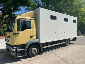 MAN Pferdetransporter  - veewagen vrachtwagen