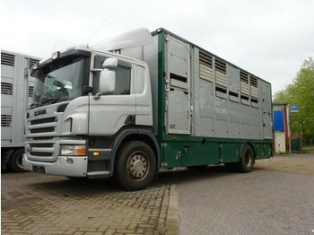 Veewagen vrachtwagen Scania P 380 mitt Menke Doppelstock