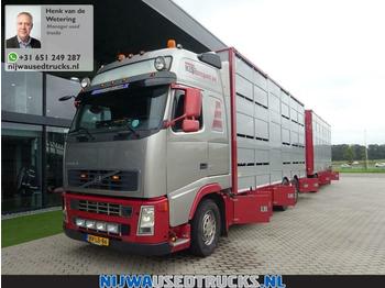 Veewagen vrachtwagen Volvo FH 480 Berdex veewagen combinatie: afbeelding 1