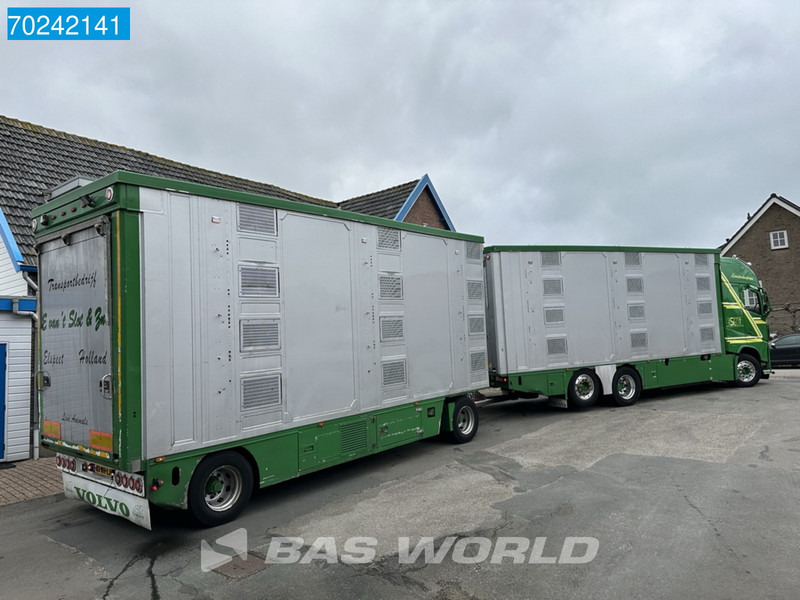 Veewagen vrachtwagen Volvo FH 540 6X2 NL-Truck Cattle transport I-Park Cool ACC Euro 6: afbeelding 5