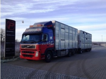 Veewagen vrachtwagen Volvo FM12 420 Animal transport with henger - Euro 3: afbeelding 1