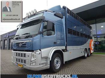 Veewagen vrachtwagen Volvo FM 410 Veewagen + Vangmuil: afbeelding 1