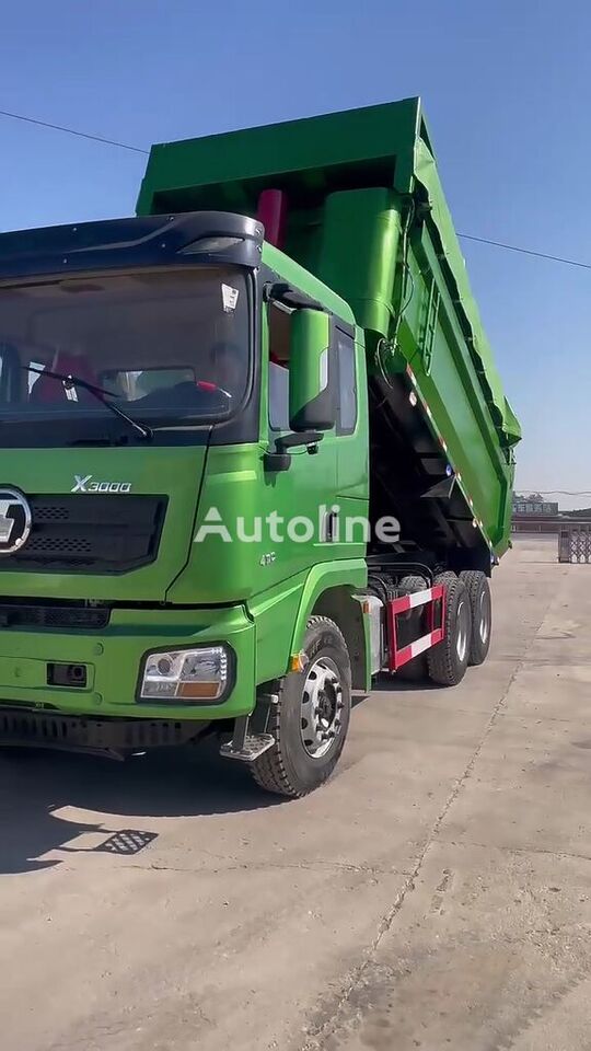 Kipper vrachtwagen X3000 10 wheels tipper lorry dumper China truck: afbeelding 6