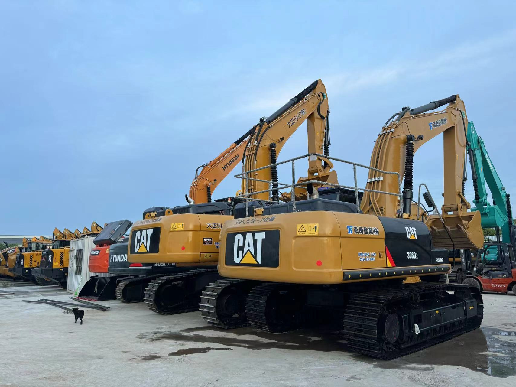 Sunight Development Company Limited - Trekkers - Jaar: 2023 undefined: afbeelding 2