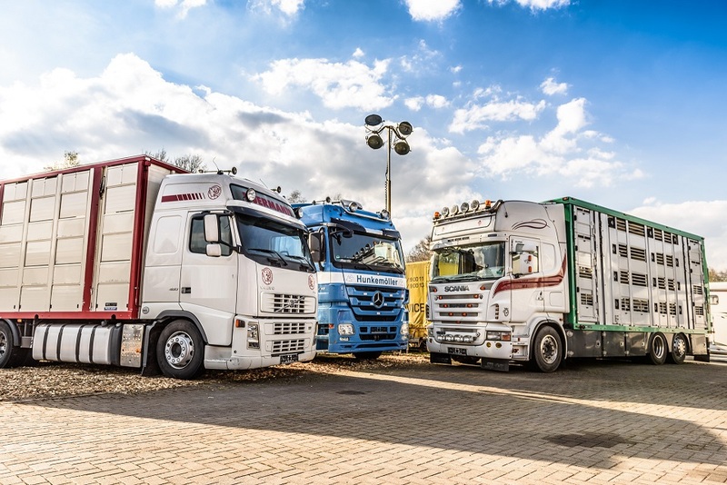 WS Trucks GmbH - Bedrijfswagens - Jaar: 2018, versnellingsbak: automatische, airconditioner undefined: afbeelding 1