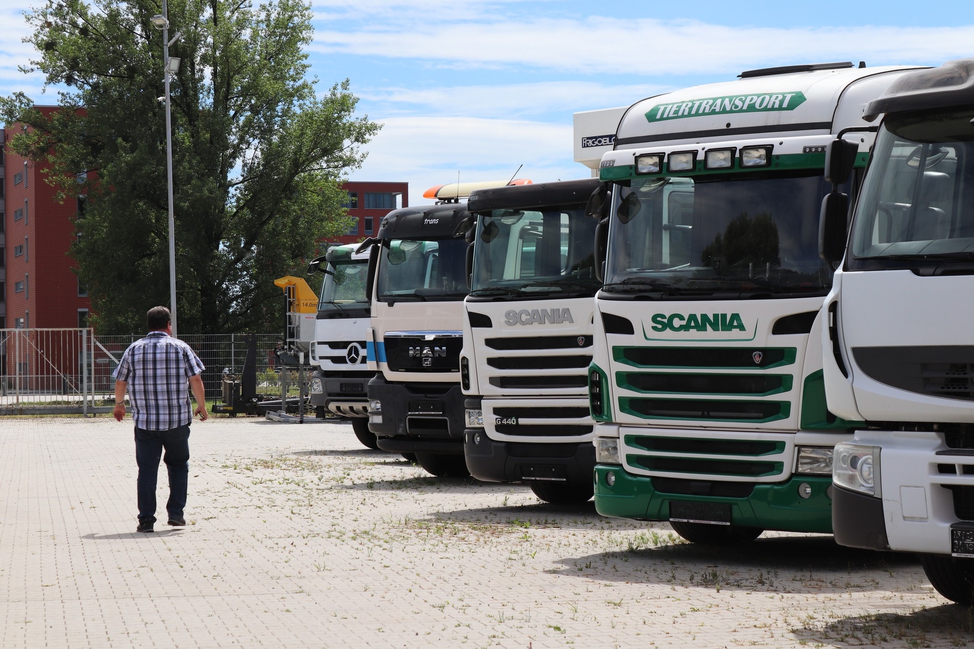 Donau Trucks GmbH undefined: afbeelding 3
